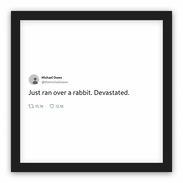 Michael Owen frame preview