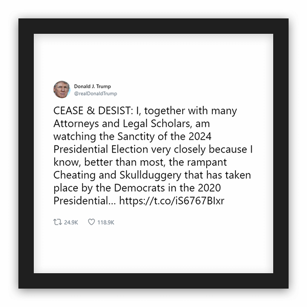 Donald J. Trump frame preview