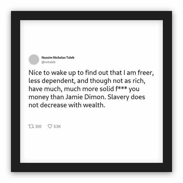 Nassim Nicholas Taleb frame preview