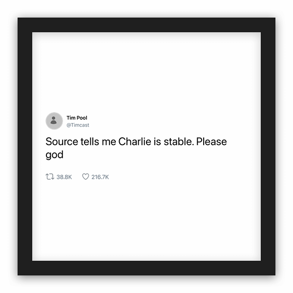 Tim Pool frame preview