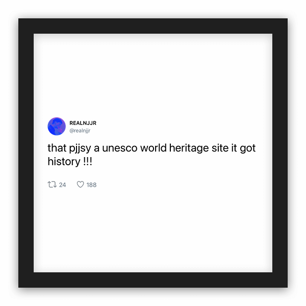 REALNJJR frame preview