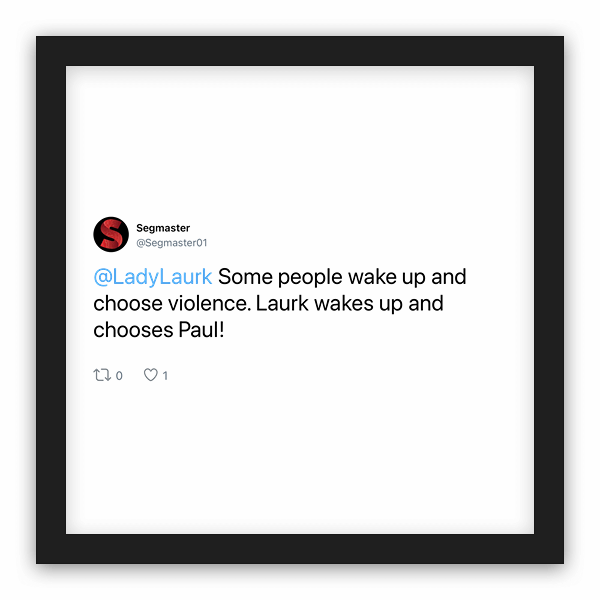 Segmaster frame preview