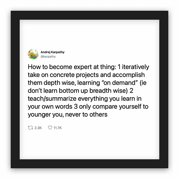 Andrej Karpathy frame preview